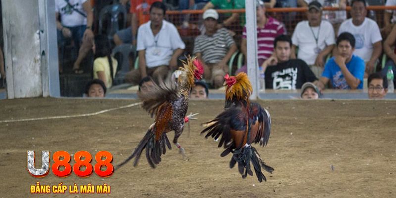 kubet đăng nhập mậu binh khuyến mãi