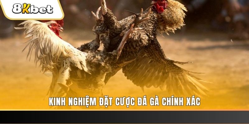 kubet xổ số thứ bảy hàng tuần