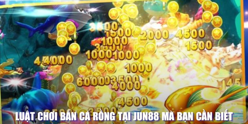 xổ số đài hà nội