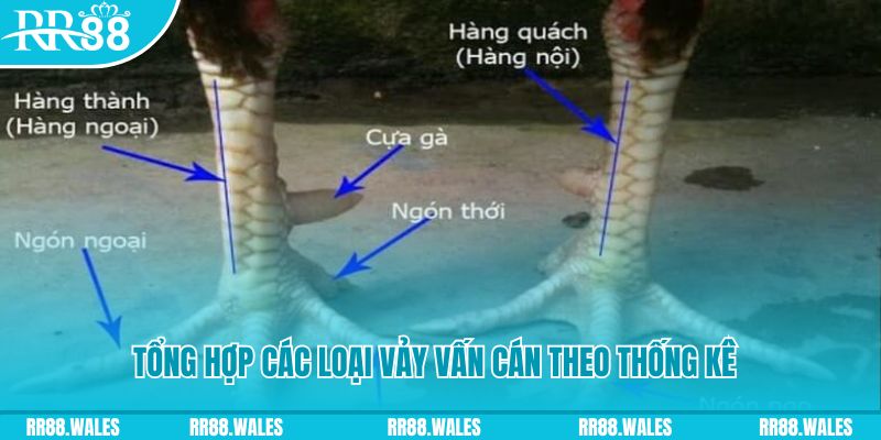 kubet HB Điện Tử