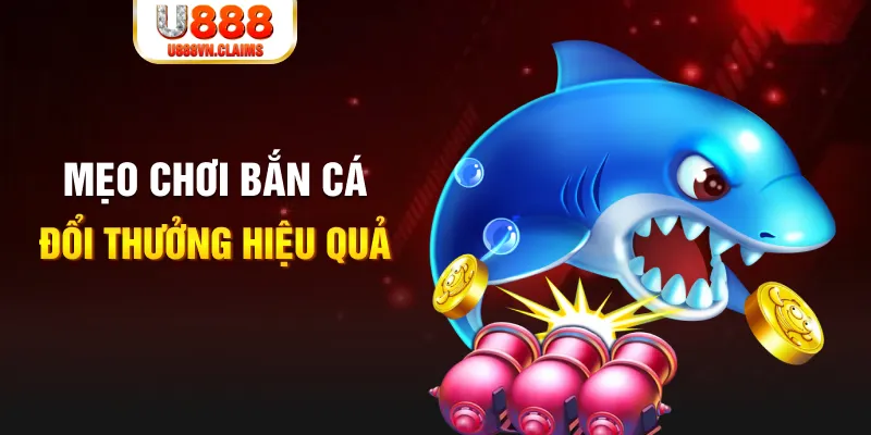 kubet gà chọi cam ranh