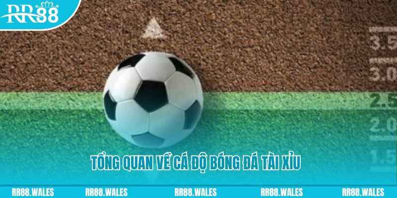 kubet đăng nhập roulette online