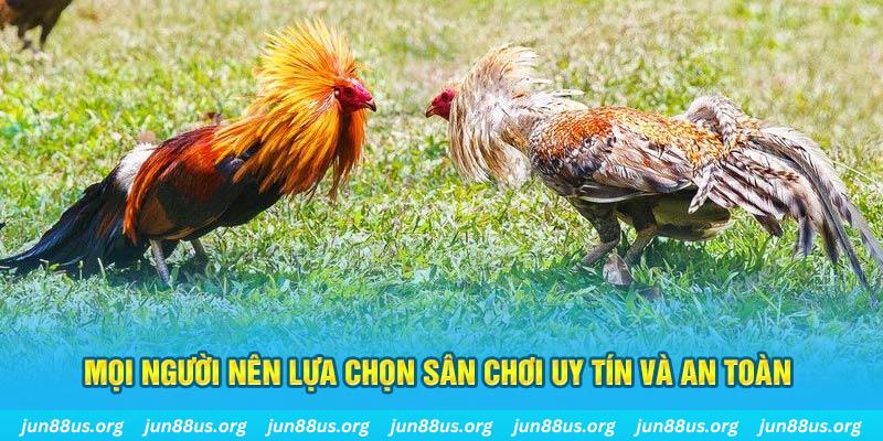kubet Cỡ bảy