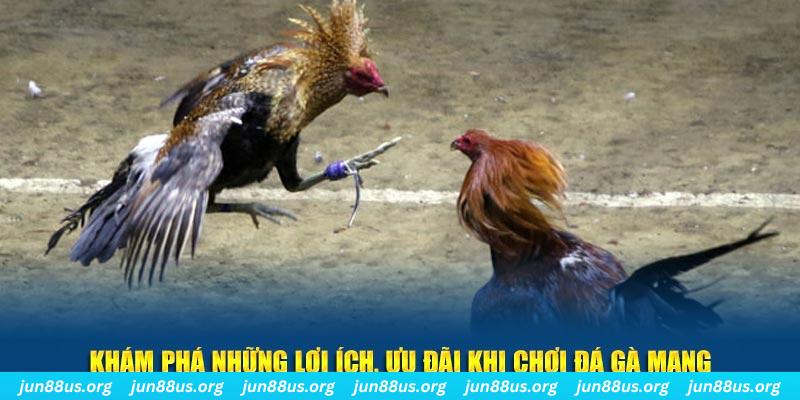 kubet đăng nhập liêng live
