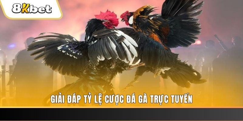 kubet ban ca online