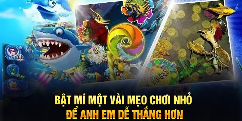 kubet xổ số thứ ba