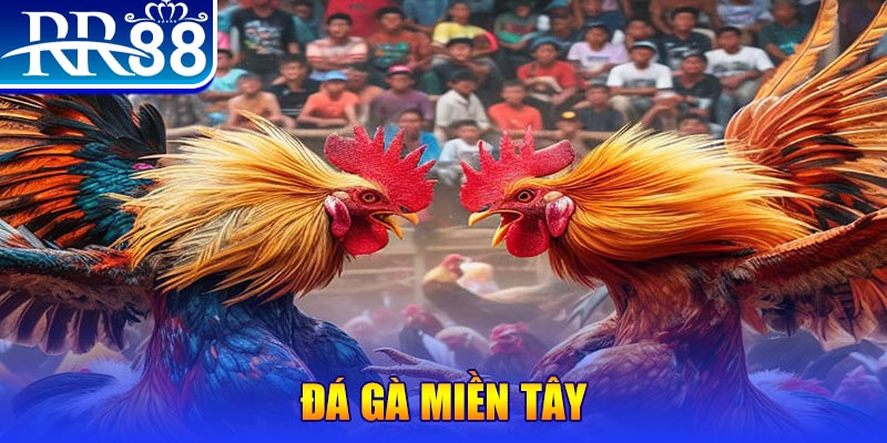 kubet người chia bài trong casino gọi là gì