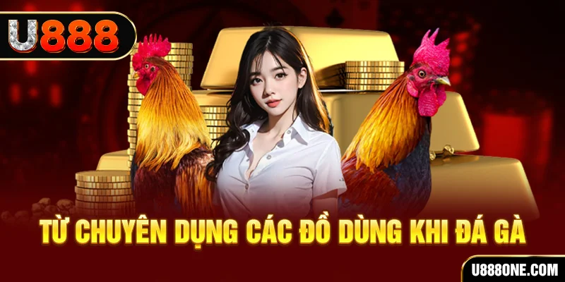 kubet đá gà trực tiếp campuchia